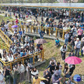 「潮風鈴•野餐音樂市集」登場 璀璨花海吸引滿滿人潮