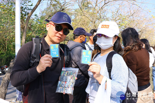 嘉市八掌溪畔黃花風鈴木盛開 音樂市集湧入逾10萬人