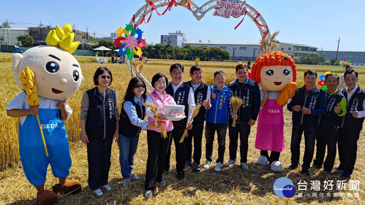 17年不間斷！大雅小麥麵食節登場 農特產市集吸人潮