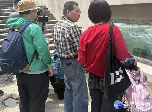 新店溪碧潭堰 喜迎魚群洄游大爆發