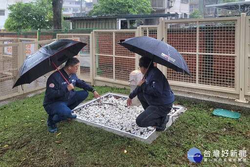 打造28座毛小孩樂園 桃市5座寵物友善專區「國際寵物日」同步啟用