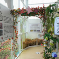 綠色博覽會新北週4/21登場 新北市民入園享百元門票優惠