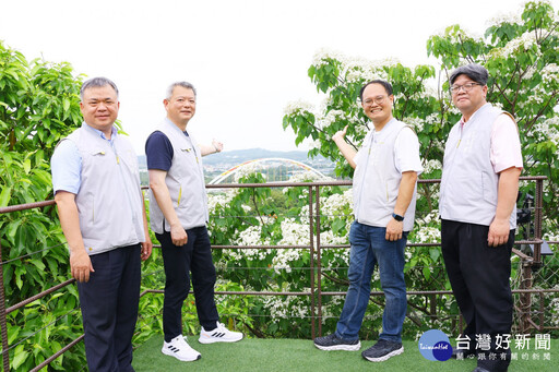 2025嘉義市桐花祭 今明兩天圓林仔社區登場
