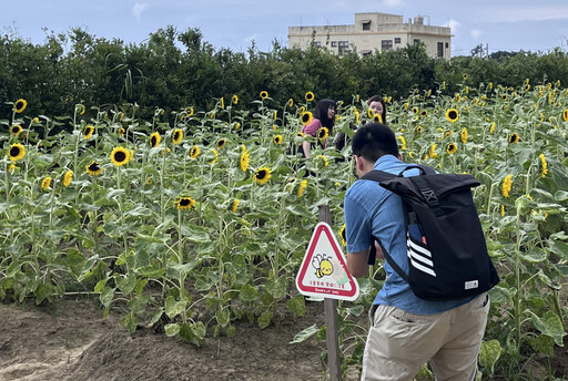 桃園單身聯誼今起報名起跑 80名額手刀搶起來