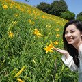 彰化花壇虎山巖金針花盛開 母親節迎來金黃花海