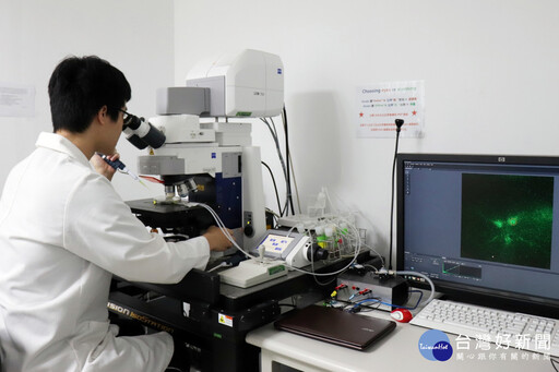 破解記憶的奧秘 長庚大學研究果蠅大腦如何管理記憶登上國際期刊