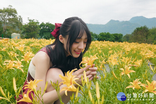 台七線繡球花金針花盛開 「桃園好農」形象代言人嘎琳力推農遊趣