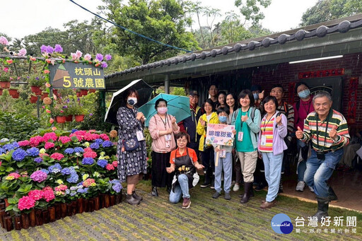 台七線繡球花金針花盛開 「桃園好農」形象代言人嘎琳力推農遊趣
