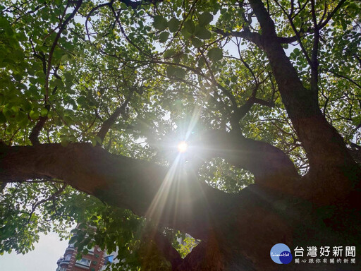 一週持續晴熱高溫飆37度 未來10天暫無梅雨