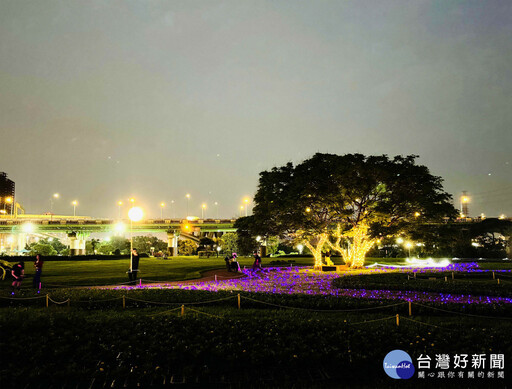 新北河濱蝶戀季延續奇境綠意 草花5/27免費提供民眾領取