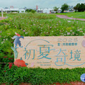 新北河濱蝶戀季延續奇境綠意 草花5/27免費提供民眾領取