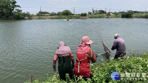 高溫拉警報 嘉縣府籲請養殖漁友做好防暑及夏季魚塭管理