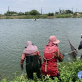 高溫拉警報 嘉縣府籲請養殖漁友做好防暑及夏季魚塭管理