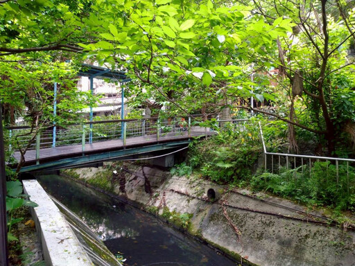 台北消暑秘境大公開! 吳興街「神大排」重現水岸風華