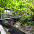 台北消暑秘境大公開！ 吳興街「神大排」重現水岸風華