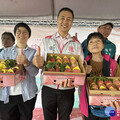 桃園拉拉山水蜜桃季甜蜜登場 桃市府邀民眾上山旅遊嚐鮮