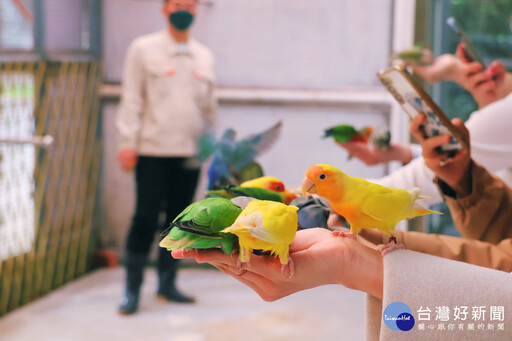 鳳凰谷鳥園水土永續嘉年華 5/30探索與自然共生的未來