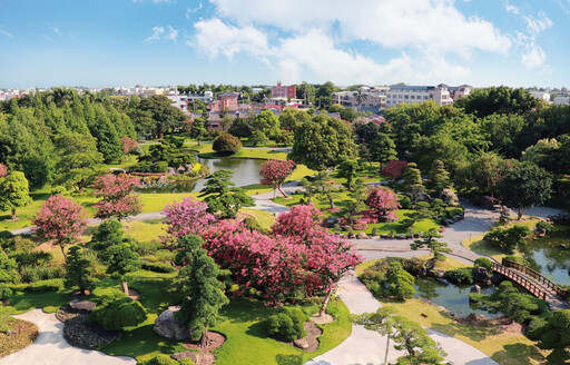 粉紅花海夢幻綻放 成美文化園夏日浪漫登場