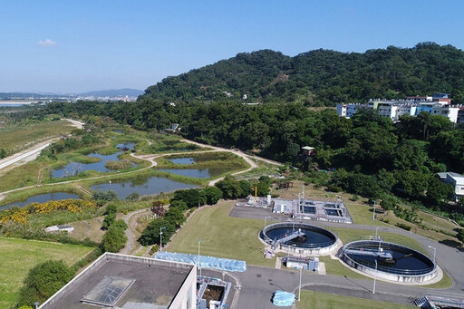 來大溪賞濕地 暑假親子放電好去處