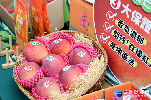 2025台南國際芒果節6/21開跑 黃偉哲邀大家一起盛夏瘋芒