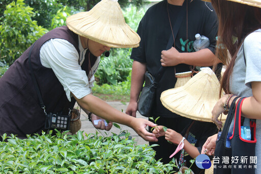 桃園客家七大館舍暑期企劃《夏日玩客島》正式啟動！ 邀您一起跳島玩客家、清涼一夏