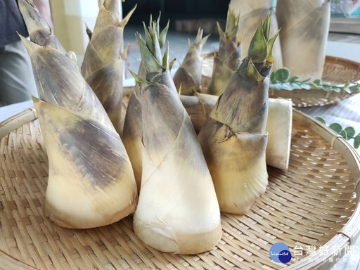 2025世界茉莉盛典×花壇竹筍節 6/28茉莉花壇夢想館登場