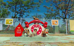 橋頭首座寵物活動區啟用 打造毛孩安心放風遊樂空間