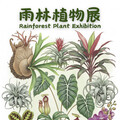 士林官邸打造夏日雨林秘境 逾百種珍奇植物免費展出