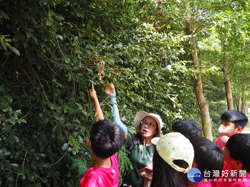 漫步千甲空品淨化區 學童共探獨角仙生態奧秘