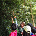 漫步千甲空品淨化區 學童共探獨角仙生態奧秘