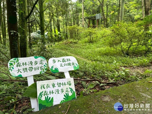 消暑「森」呼吸 東勢林場鼓勵暑假「森林漫步走」健走推優惠