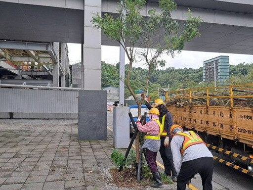 輕颱丹娜絲逼近 北市公園處啟動防颱機制嚴陣以待