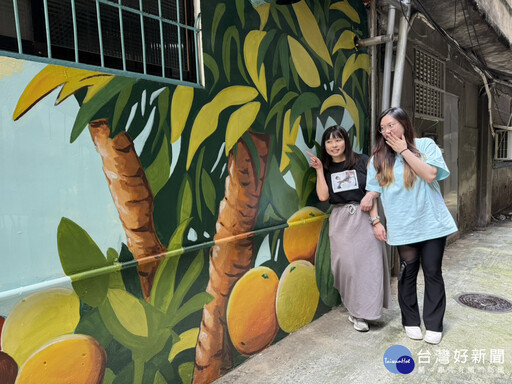 後巷彩繪煥然一新 板橋東丘里及土城頂福里巷弄乾淨明亮