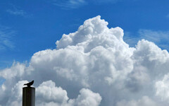 週三起連5天晴朗酷熱 高溫飆38度以上