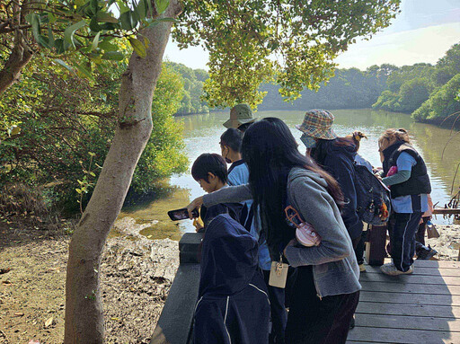 炎夏好去處 援中港濕地奏響招潮蟹樂章
