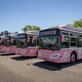 響應世界無車日 宜縣府：9/20至9/22市區公車免費搭乘