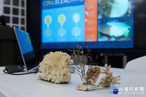 新北「海洋小教室」 用科技與創意開啟親子環保新視野