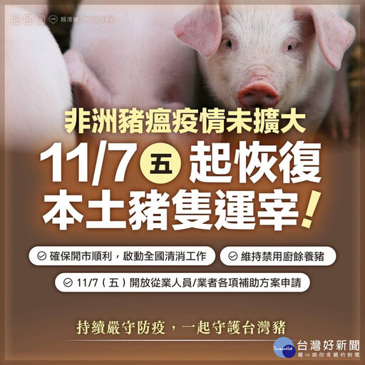 非洲豬瘟未再出現新案例 肉品市場11/7恢復豬隻拍賣與屠宰