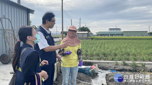 溪湖新住民勤耕韭菜花田 用雙手摘出雙學霸