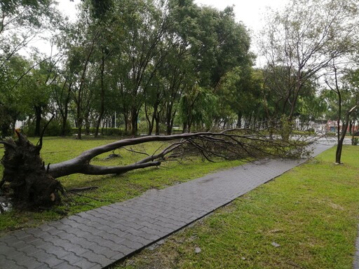 凱米颱風遠離後 慈濟科技大學展開校園清理復原