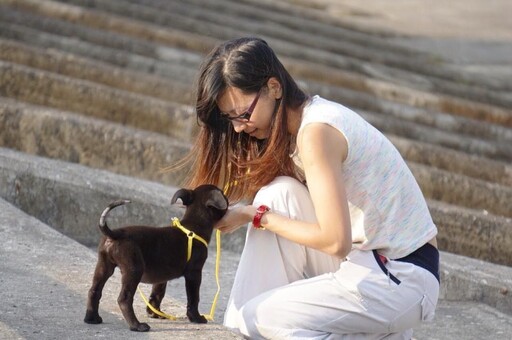 新北動保處呼籲飼主：妥善飼養 杜絕毛寶貝流浪