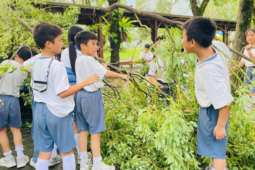 慈大附中齊心協力 風雨後美麗校園再現