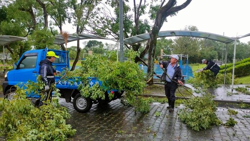 慈大附中齊心協力 風雨後美麗校園再現