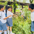 慈大附中齊心協力 風雨後美麗校園再現