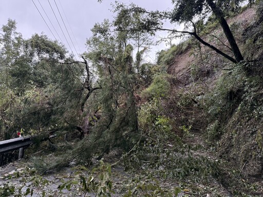 台電跨區動員430人搶修 不畏艱難投入山區搶修