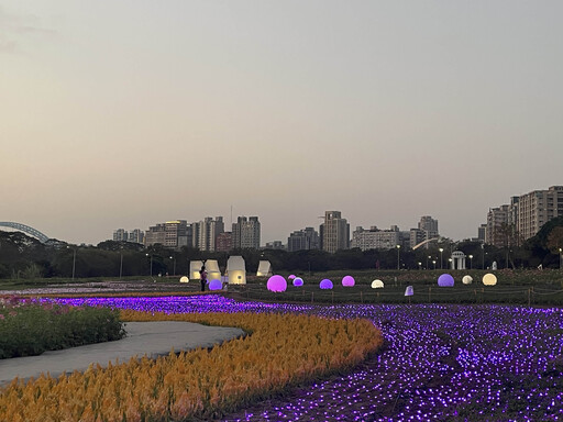 北市河濱花海年假不停歇 萬花齊放迎春節