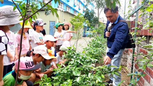 打造生態校園 竹市三校積極推動綠籬專案