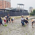 大里區農會引領學子體驗農耕 推廣食農教育