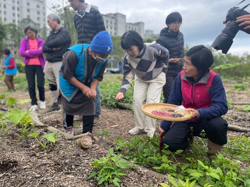 食物森林永續農法 布農傳統種植慈大綻放新生