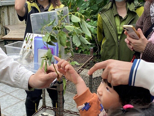 昆蟲觀察家 與保育員一起近距離觀察昆蟲世界